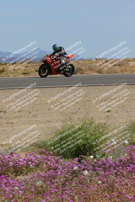 media/Mar-12-2023-SoCal Trackdays (Sun) [[d4c8249724]]/Turn 15 Inside Bloom (130pm)/